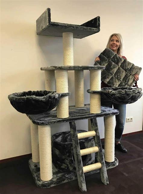 It also has soft and cozy beds that provide a warm and comfortable place for your ragdoll cats to nap. . Cat tree king